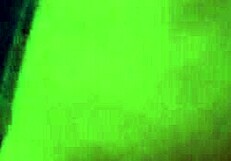 Leaked video of estefania cabrera with boyfriend in positions