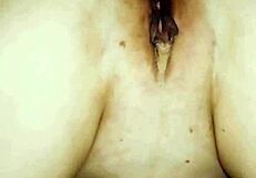 our first wild night caught on tape