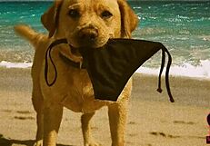 Lucy's relaxing day at the nude beach.