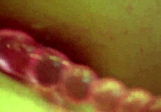 Sexy Milf In Stockings Masturbates To Orgasm