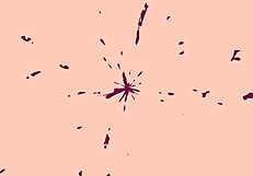 bold chubby classy mature milf gets creampied by lover in homemade sex