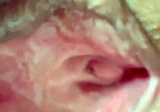 Emotional close up of wife's shaved pussy after 106 days