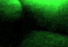 i interview latina for casting, bent over in doggystyle amateurs