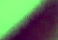 fucking stepsister in tent camping