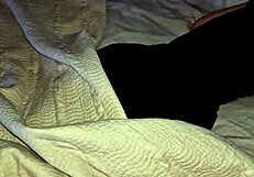 Despierto a Mi Hermanastra with Big Cock in Pussy Leading to Creampie Sex and Brunette Amateur Action