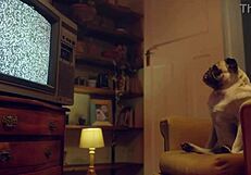 Why do I masturbate Amy Douxxx with a vibrator on the living room couch?