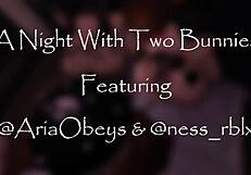 why not join the mating season blowjob for two bunnys?