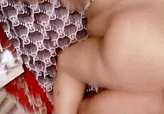 sundaydogood614 update 462 video from september 8 2024