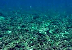 Time to Philosophize and Show Biggest Toy in Pool Softcore Fun