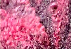 eating huge ass before slapping tits and cumming in mouth