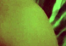 Giving it so good to my husband!