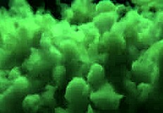 Patricinha Pays Debt with Pussy to Big Black Guy