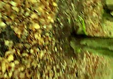 Watch Her MASTURBATE In The FOREST!