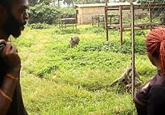 Stunning Black Babe Sucks Huge Cock Then Gets Pounded from Behind