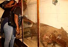 Stunning Black Babe Sucks Huge Cock Then Gets Pounded from Behind