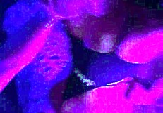 Skinny Model Loves Hard Rough Fucking All Day Long