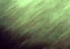 fix your dick inside my fat pussy and make me scream