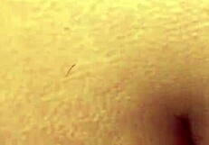 jungle chudai of indian collage girl came for exam