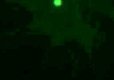 Charlotte Sins and Her Successful Hook-Up with Rough Fucking