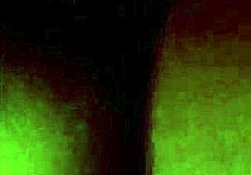 Cheating Bbw Wife Fucks New Lover!