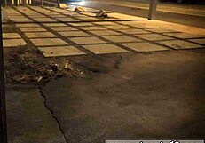 Teen says, 'Check out anal piss and home orgy HD!'