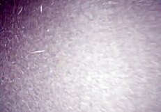 i found my lover without panties and ate her pussy