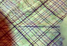 Trai meu marido com o entregador motoboy da empresa dele que me dominou