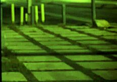 Teen says, 'Check out anal piss and home orgy HD!'