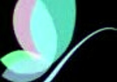 Taiwanese Girl Bai Xi-Yu Had Wild Sex With Her Lover