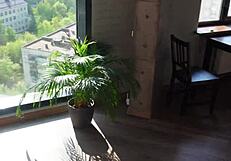 I really like fucking my stepsister while on the phone