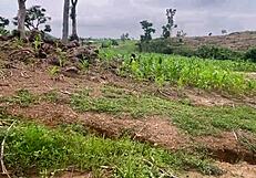 we went to the farm to fuck part 2