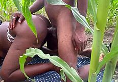 we went to the farm to fuck part 2