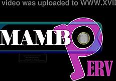 Larinha fucks four big cocks