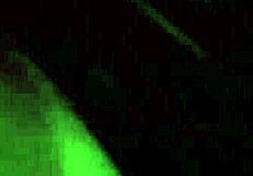 taylee woods whipped cream