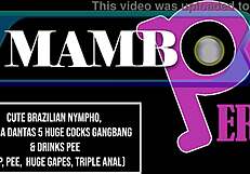 क्यूट ब्राजीलियन निम्फो बियांका डेंटास 5 ह्यूज कॉक्स गैंगबैंग हैंडल कर सकती?