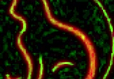 Sluty Red Cat in Threesome with Milking Table and Sex Machine