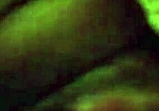 can you see that bulging clit in close-up pussy fuck?