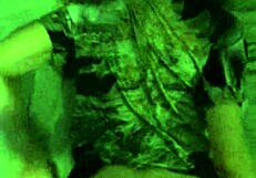 Breed whore gets USED and her BIRTH CONTROL thrown out FUCKED and FILLED with CUM