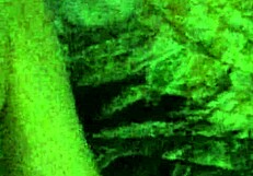 Breed whore gets USED and her BIRTH CONTROL thrown out FUCKED and FILLED with CUM