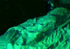 Breed whore gets USED and her BIRTH CONTROL thrown out FUCKED and FILLED with CUM