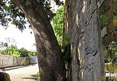 i was walking on the street with friends