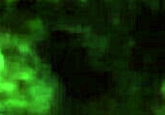 Breed whore gets USED and her BIRTH CONTROL thrown out FUCKED and FILLED with CUM