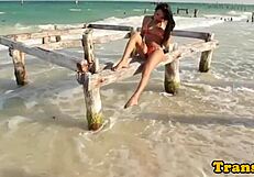 Bikini Latina tranny receives facial from big cock