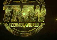 Tmwpov Com - Ivi Rein - Good Fuck Instead of Ironing