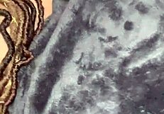 I had my first girl on girl with GoldenXGoddess, the BBW ebony goddess.