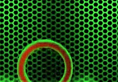 Ginger Penny Pax Gets Oily and Rides Her Pink Dildo