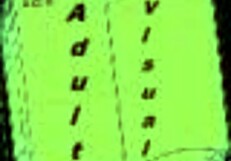 Harem hotel 256 game adventure