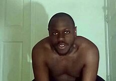 discover unique lizard exercises contrasting spider and squid moves for scorpio zodiac fans