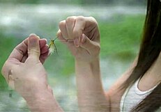 Watch This Spy K-Movie Sex Scene?