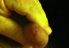 business jerk off movie session